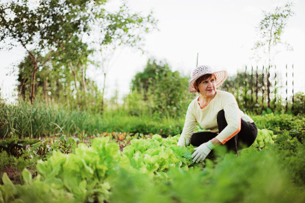 An elderly woman crouching low and tending to her garden.